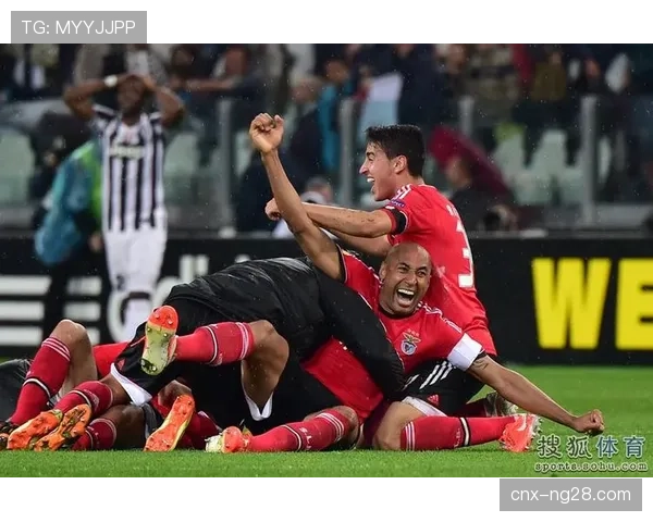 体育版权市场现“冰火两重天” 顶流与中小赛事分化加剧